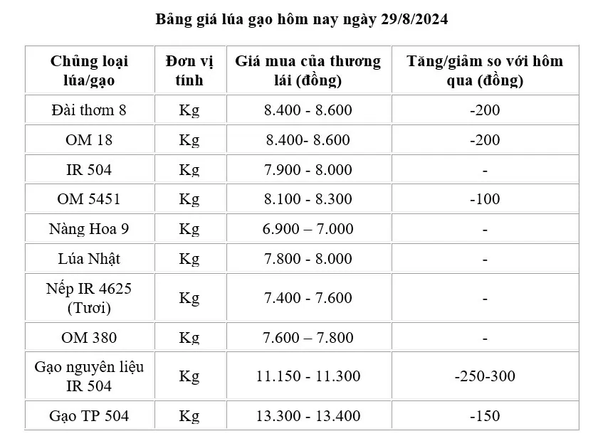 Giá lúa gạo hôm nay 29/8/2024: Giá gạo giảm 150 -300 đồng/kg; giá lúa giảm 100 - 200 đồng/kg