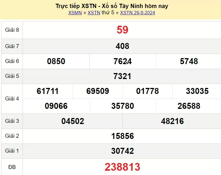 XSTN 29/8, Kết quả xổ số Tây Ninh hôm nay 29/8/2024, KQXSTN thứ Năm ngày 29 tháng 8