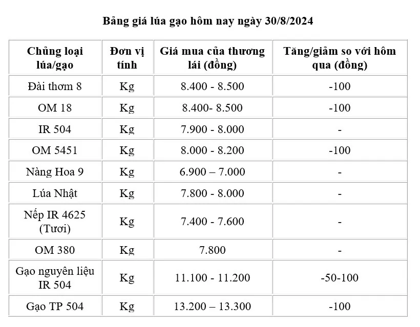 Giá lúa gạo hôm nay 30/8/2024: