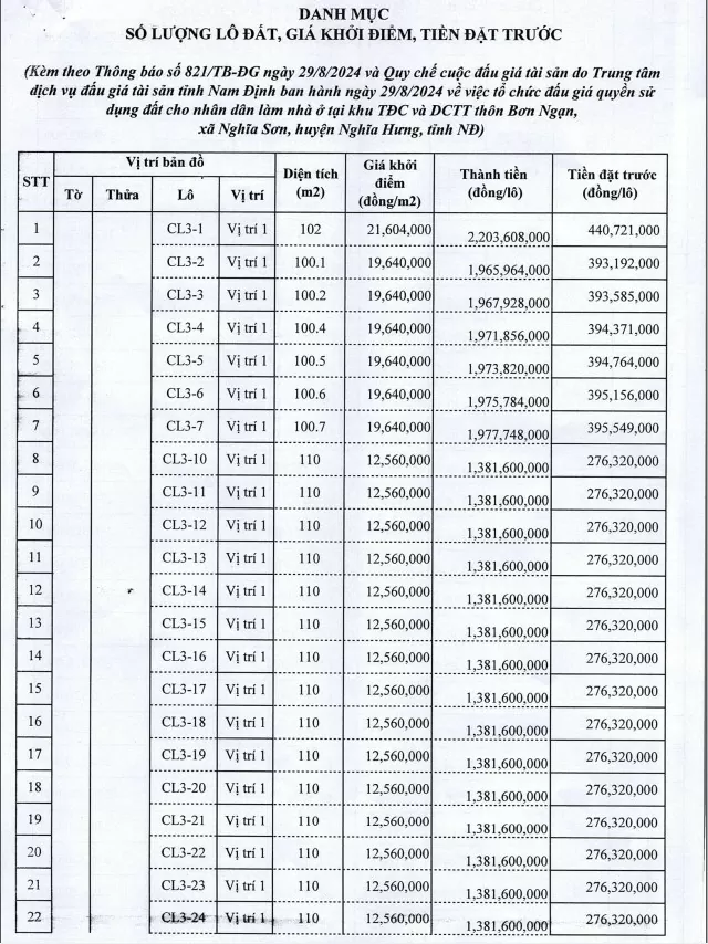 Nam Định đấu giá 134 lô đất tại huyện Nghĩa Hưng, giá thấp nhất 6 triệu đồng/m2