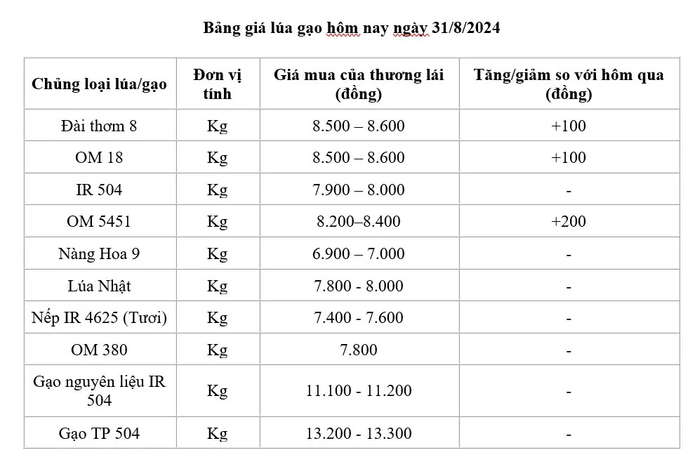 Giá lúa gạo hôm nay 31/8/2024: Giá gạo tăng, giảm trái chiều; giá lúa tăng