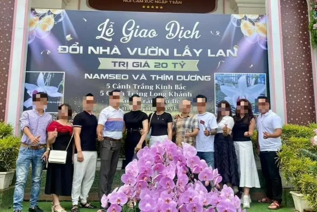 Bùng lên giao dịch lan đột biến 20 tỷ phải chăng là chiêu ‘lùa gà’ mới?