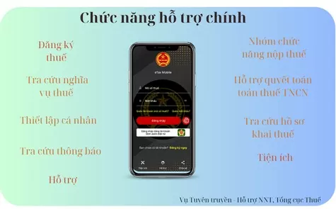 Bà Rịa – Vũng Tàu: Một công ty không kê khai thuế với doanh thu hơn 353 tỷ đồng