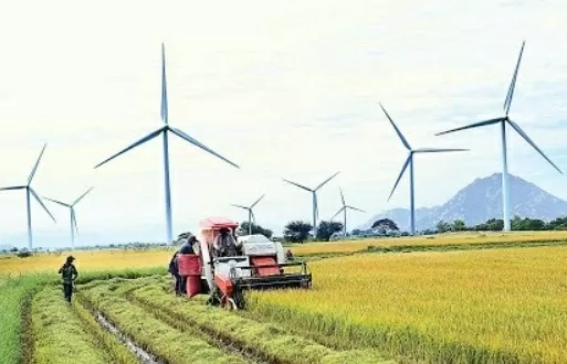 Bạc Liêu: Nợ hơn 34 tỷ đồng, Chi nhánh Công ty Công Lý bị cưỡng chế thuế