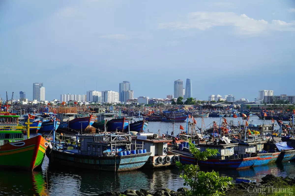 TP. Đà Nẵng kêu gọi tàu thuyền còn đang hoạt động trên biển, đặc biệt là khu vực Vịnh Bắc Bộ và Bắc Biển Đông – Hoàng Sa vào bờ hoặc tìm nơi tránh trú an toàn