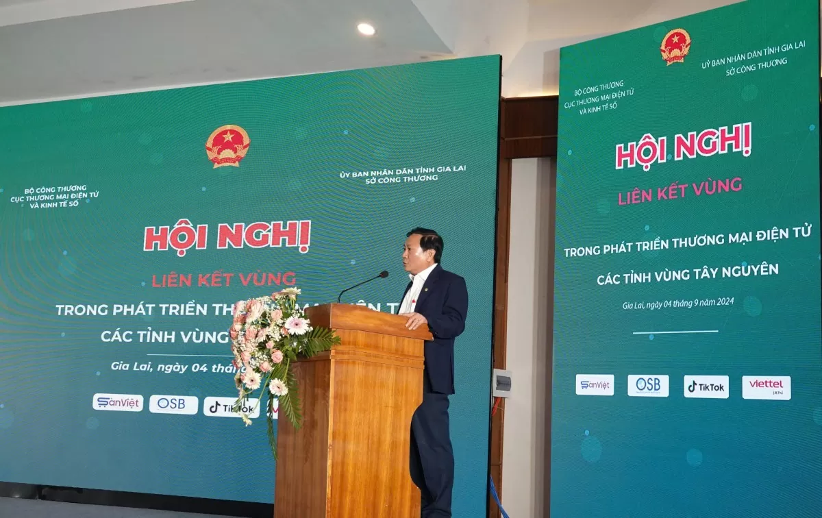 Thúc đẩy liên kết phát triển thương mại điện tử ở Tây Nguyên