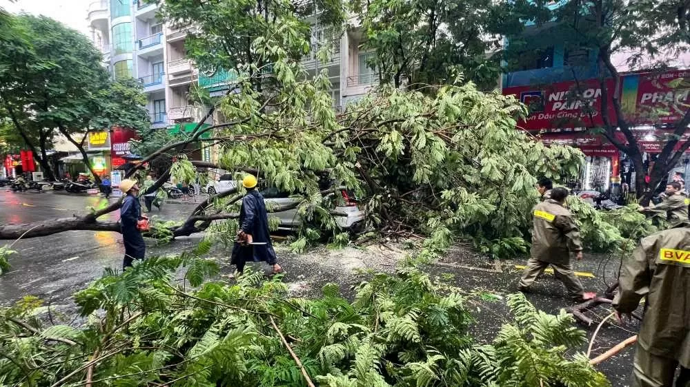 TP. Hồ Chí Minh: Lại có thêm người tử vong do nhánh cây gãy rơi trúng