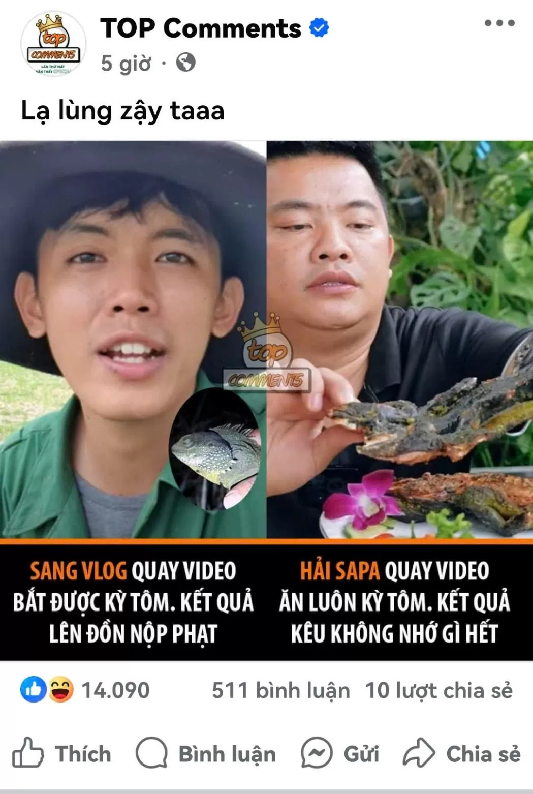 Hải Sapa TV có ‘đãng trí’ không nhớ ăn kỳ tôm nằm trong Sách đỏ ở đâu?