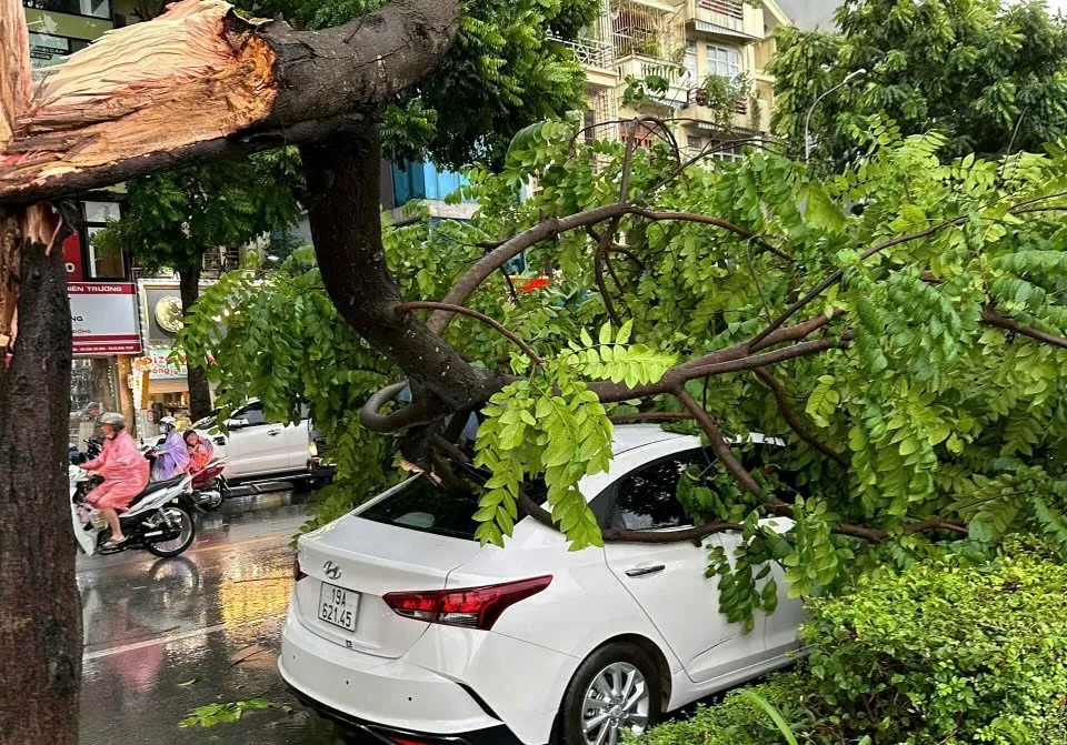 Hà Nội: Gió giật mạnh quật đổ cây xanh đè hàng loạt người đi đường, đã có thương vong