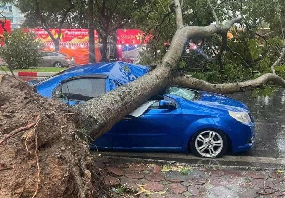 Hà Nội: Gió giật mạnh quật đổ cây xanh đè hàng loạt người đi đường, đã có thương vong