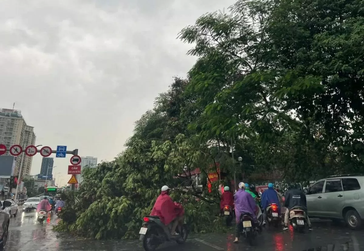 Hà Nội: Gió giật mạnh quật đổ cây xanh đè hàng loạt người đi đường, đã có thương vong