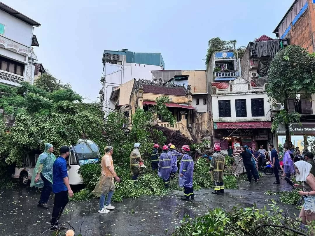 Siêu bão Yagi quật bung gốc cây đè chết người đi đường: Công an khuyến cáo gì? Siêu bão Yagi quật bung gốc cây đè chết người đi đường: Công an khuyến cáo gì?