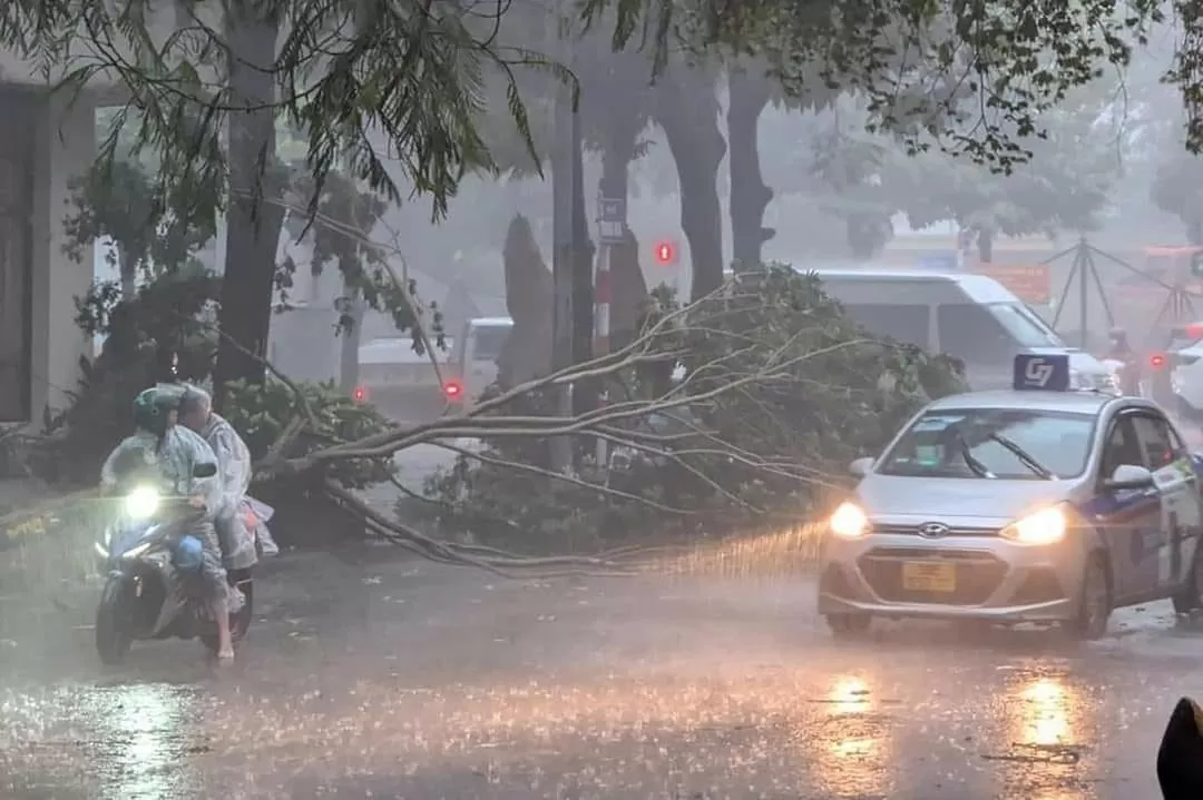 Siêu bão Yagi quật bung gốc cây đè chết người đi đường: Công an khuyến cáo gì?