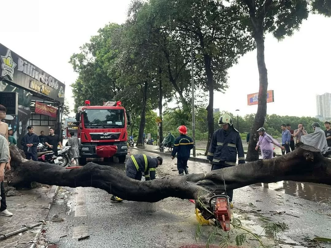 Siêu bão Yagi quật bung gốc cây đè chết người đi đường: Công an khuyến cáo gì?