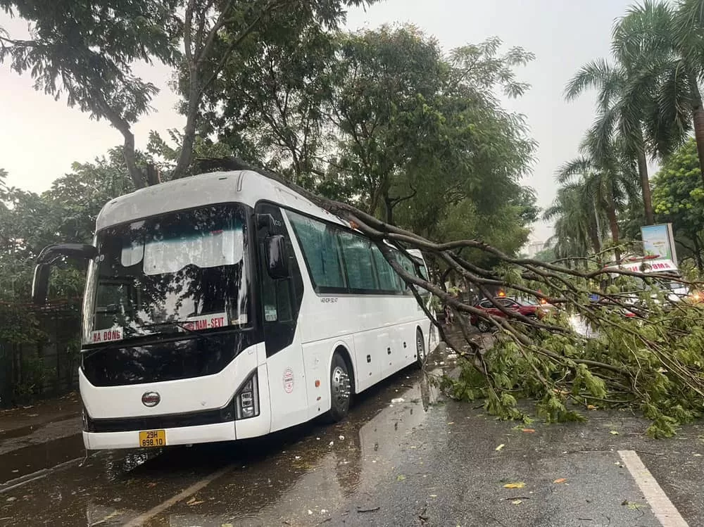 Siêu bão Yagi quật bung gốc cây đè chết người đi đường: Công an khuyến cáo gì?