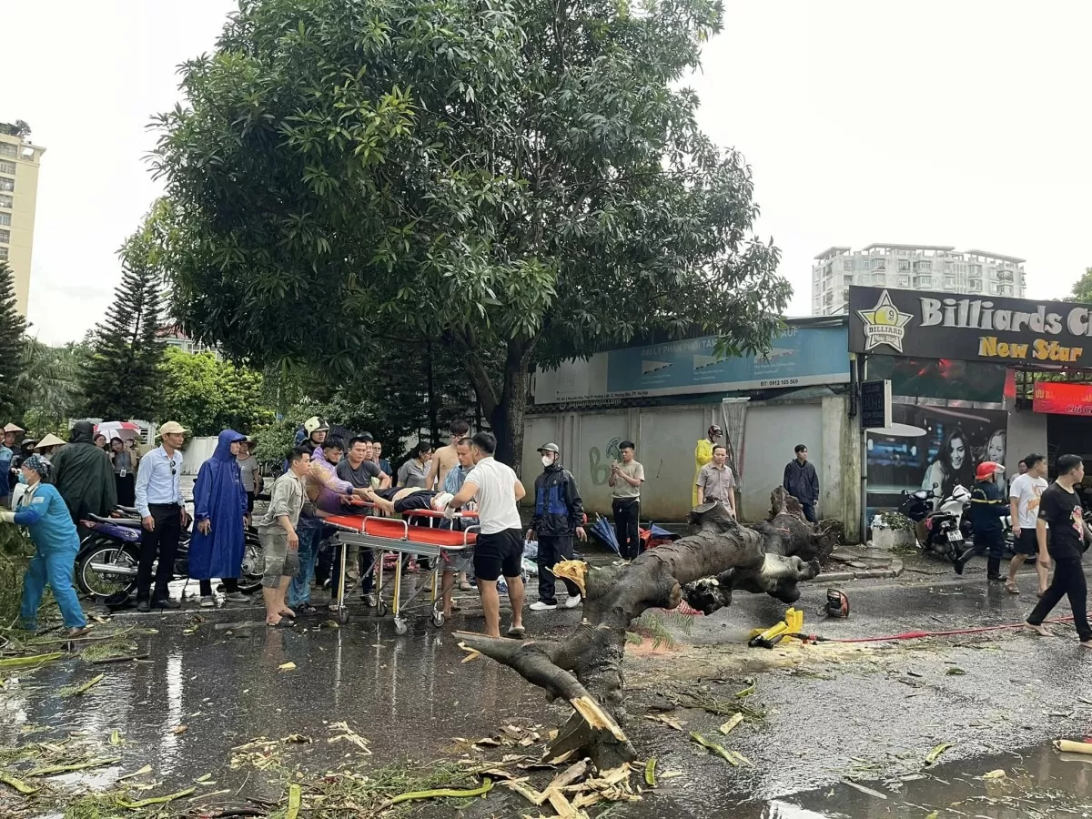 Siêu bão Yagi quật bung gốc cây đè chết người đi đường: Công an khuyến cáo gì?