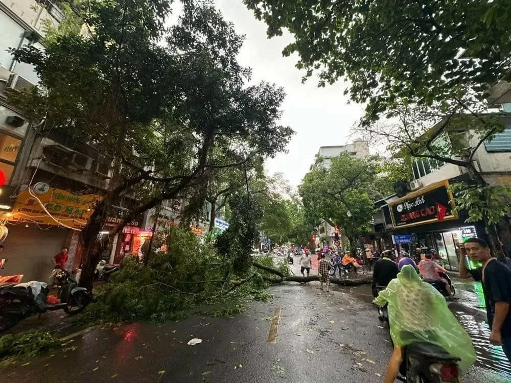 Siêu bão Yagi quật bung gốc cây đè chết người đi đường: Công an khuyến cáo gì?