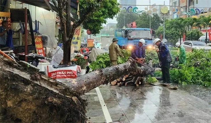 Cập nhật: Thiệt hại do bão Yagi ở Hà Nội, Quảng Ninh, Hải Phòng và các địa phương