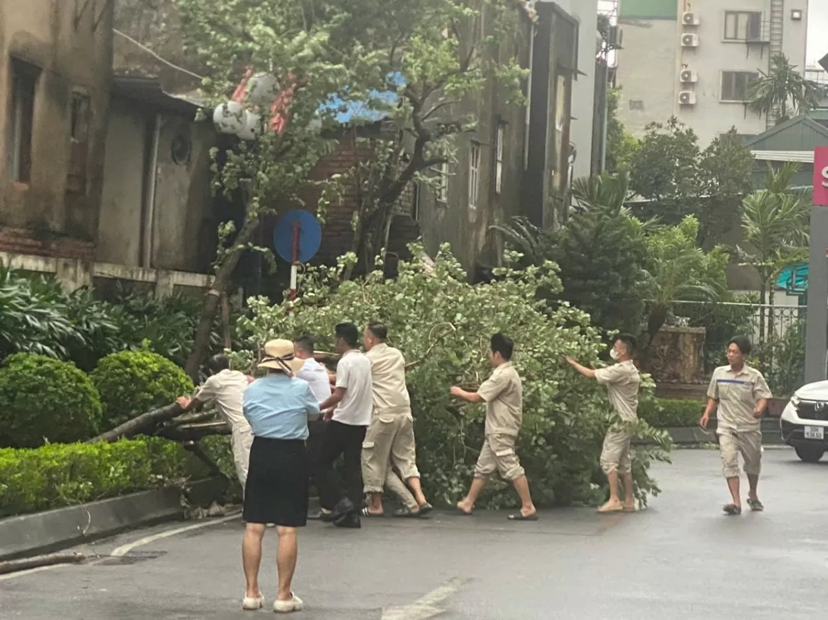 Hà Nội: 200 cây đổ, 7 người thương vong do bão số 3