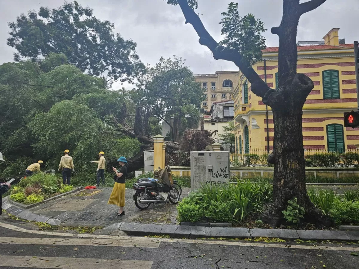 Hà Nội: 200 cây đổ, 7 người thương vong do bão số 3