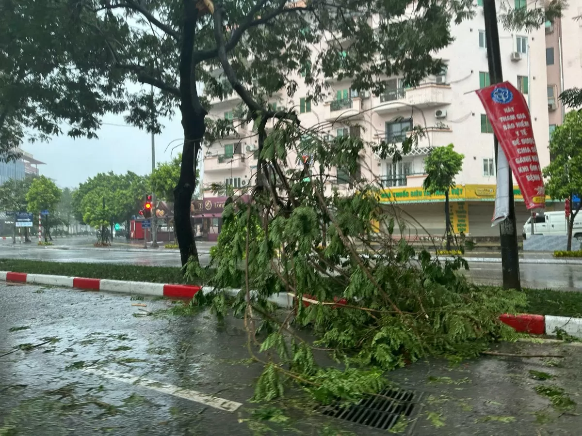 Hà Nội: 200 cây đổ, 7 người thương vong do bão số 3