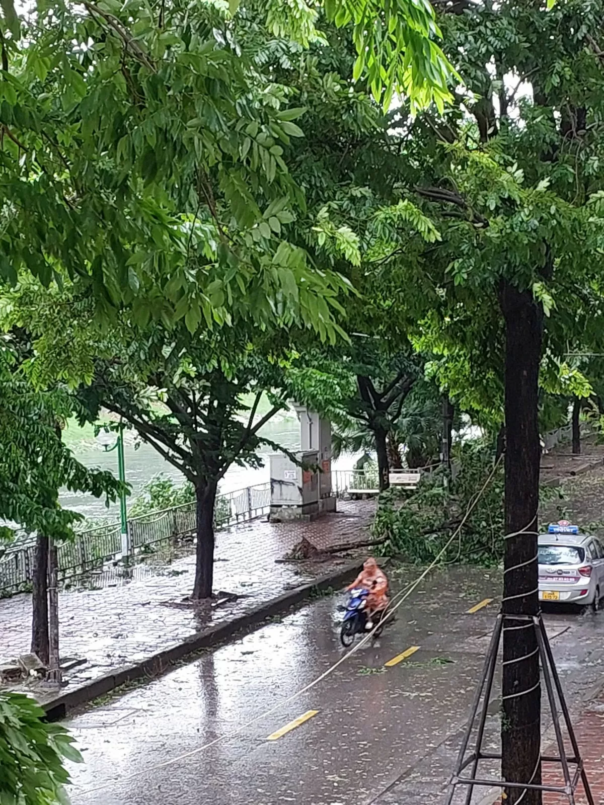 Hà Nội: 200 cây đổ, 7 người thương vong do bão số 3