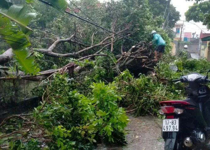 Hình ảnh lưới điện bị tàn phá bởi siêu bão Yagi