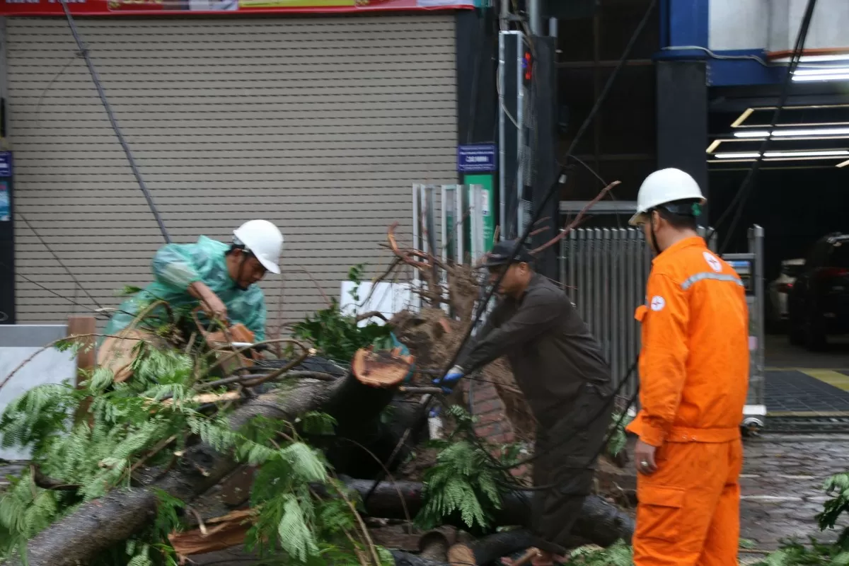 Chùm ảnh: Thành phố Hạ Long tan hoang sau khi siêu bão Yagi càn quét