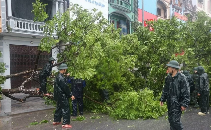 Cập nhật: Thiệt hại do bão Yagi ở Hà Nội, Quảng Ninh, Hải Phòng và các địa phương