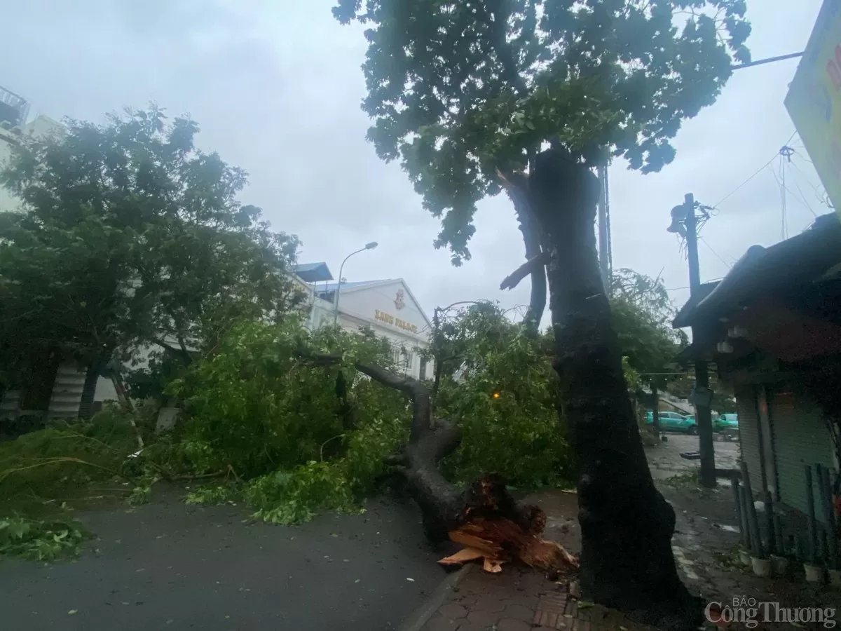 Hà Nội sau bão, ghi nhận hình ảnh sáng nay 8/9 tại khu Kim Liên, Đống Đa Hà Nội sau bão, ghi nhận hình ảnh sáng nay 8/9 tại khu Kim Liên, Đống Đa