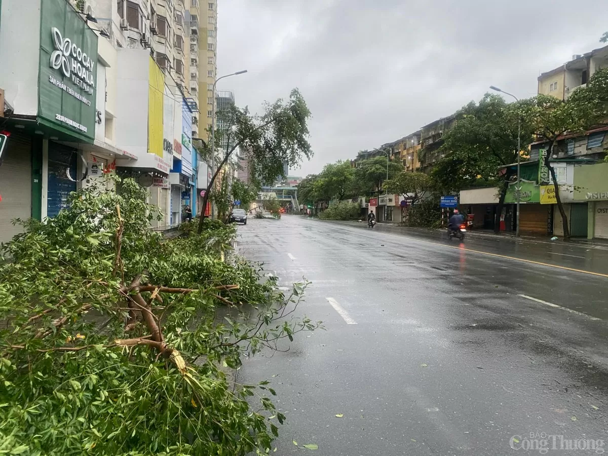 Hà Nội sau bão, ghi nhận hình ảnh sáng nay 8/9 tại khu Kim Liên, Đống Đa