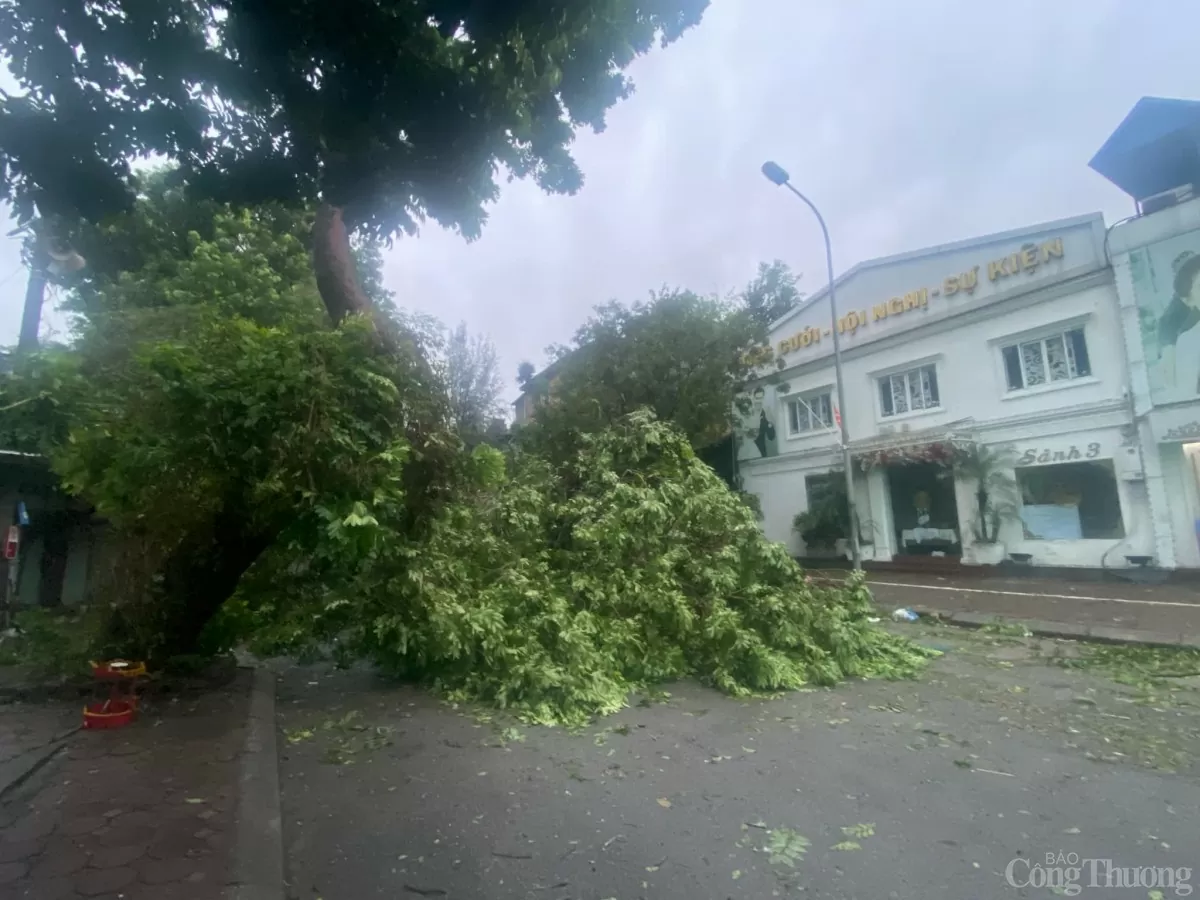 Hà Nội sau bão, ghi nhận hình ảnh sáng nay 8/9 tại khu Kim Liên, Đống Đa