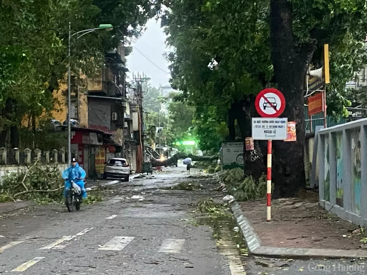 Hà Nội sau bão, ghi nhận hình ảnh sáng nay 8/9 tại khu Kim Liên, Đống Đa