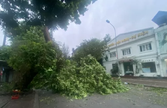 Hà Nội sau bão, ghi nhận hình ảnh sáng nay 8/9 tại khu Kim Liên, Đống Đa