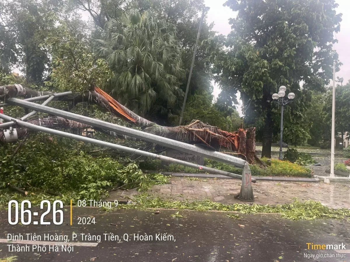 Trung tâm Hà Nội sau bão số 3: Quận Hoàn Kiếm cây đổ la liệt Trung tâm Hà Nội sau bão số 3: Quận Hoàn Kiếm cây đổ la liệt