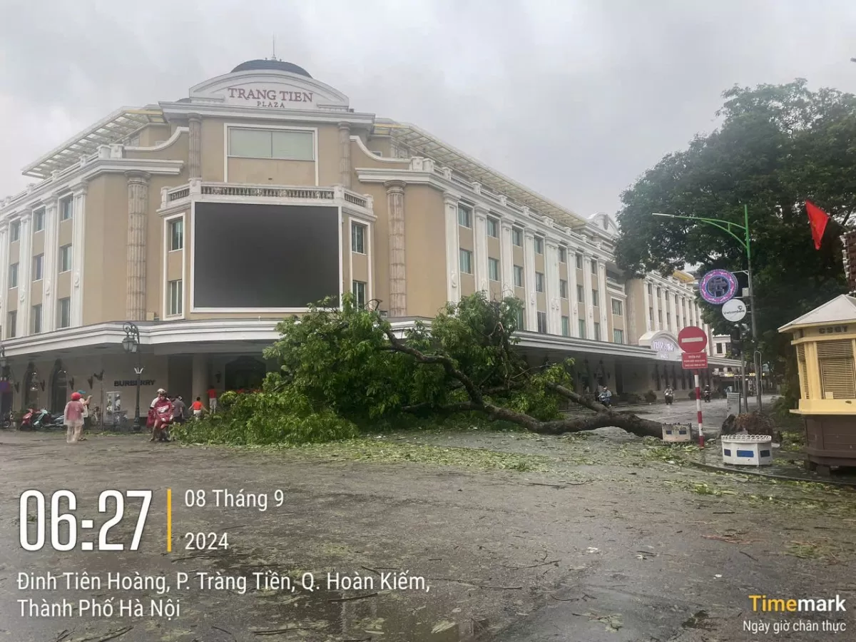 Trung tâm Hà Nội sau bão số 3: Quận Hoàn Kiếm cây đổ la liệt Trung tâm Hà Nội sau bão số 3: Quận Hoàn Kiếm cây đổ la liệt