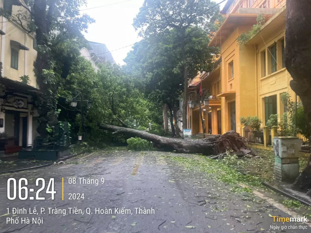 Trung tâm Hà Nội sau bão số 3: Quận Hoàn Kiếm cây đổ la liệt Trung tâm Hà Nội sau bão số 3: Quận Hoàn Kiếm cây đổ la liệt