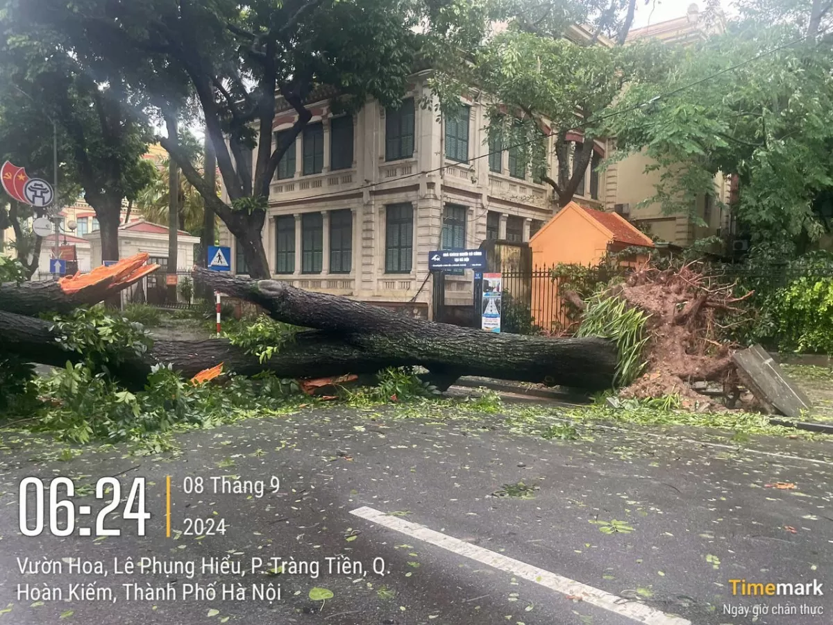 Trung tâm Hà Nội sau bão số 3: Quận Hoàn Kiếm cây đổ la liệt Trung tâm Hà Nội sau bão số 3: Quận Hoàn Kiếm cây đổ la liệt