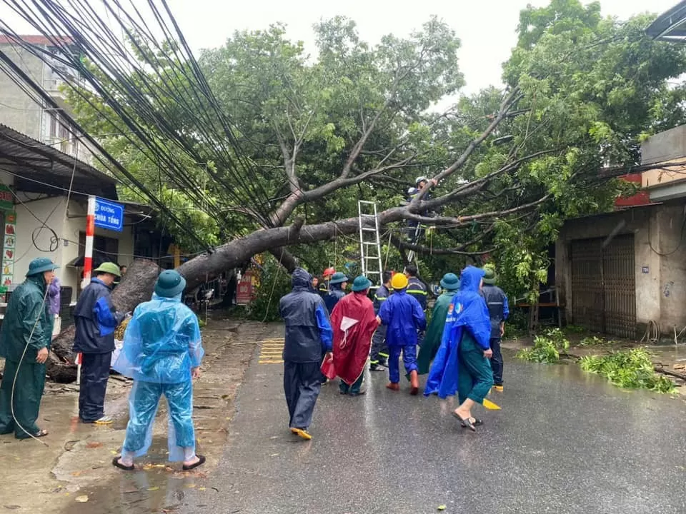 Hà Nội: Gần 3 nghìn cây xanh đổ, có phố cây đổ như ngả rạ