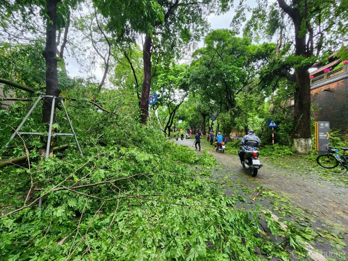Những con phố đẹp nhất Hà Nội tan hoang sau bão số 3 Những con phố đẹp nhất Hà Nội tan hoang sau bão số 3