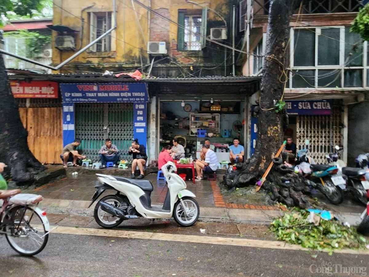 Những con phố đẹp nhất Hà Nội tan hoang sau bão số 3 Những con phố đẹp nhất Hà Nội tan hoang sau bão số 3