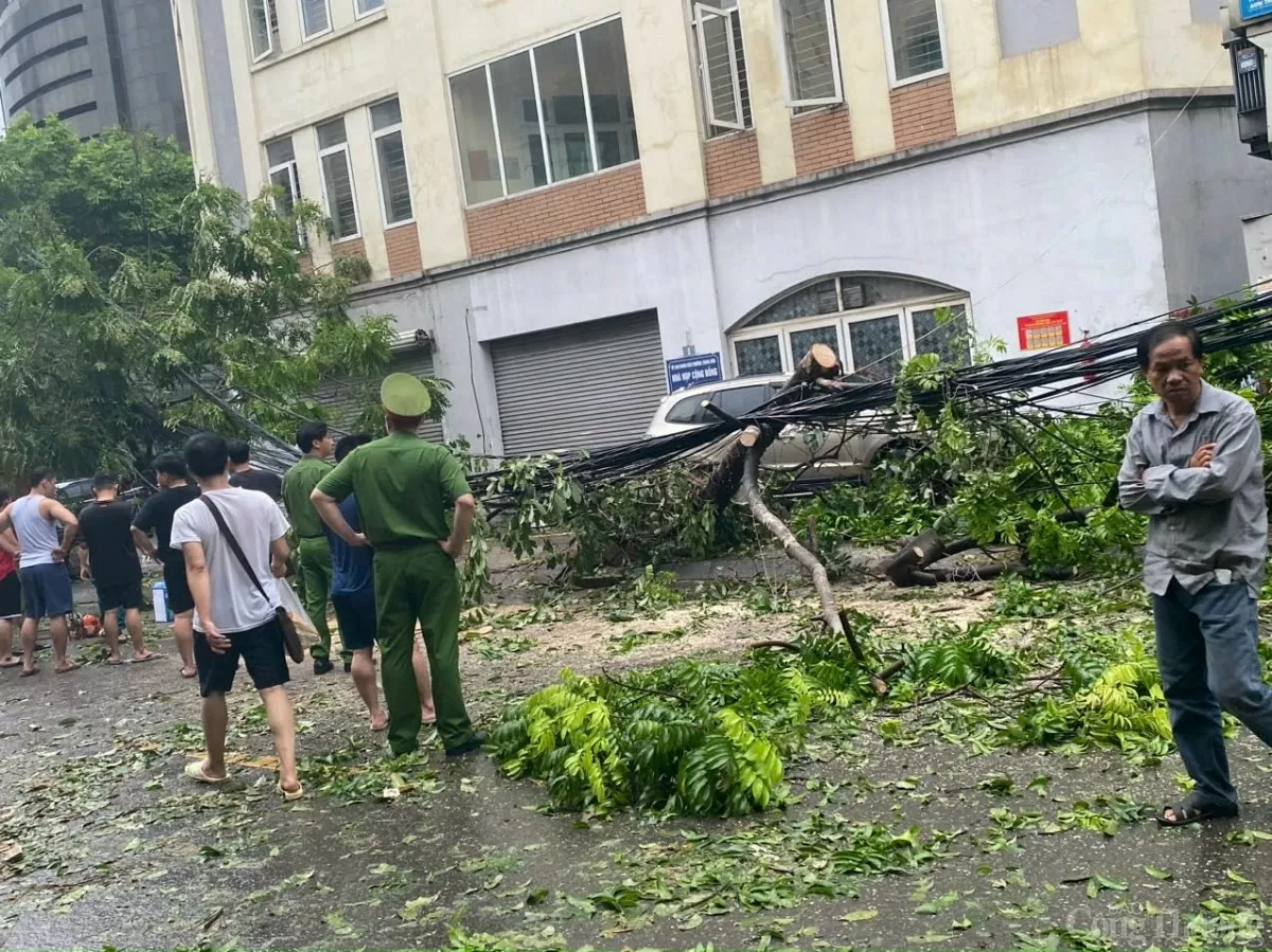 Ghi nhận công tác khắc phục hậu quả sau bão số 3 các quận nội thành Hà Nội sáng ngày 8/9