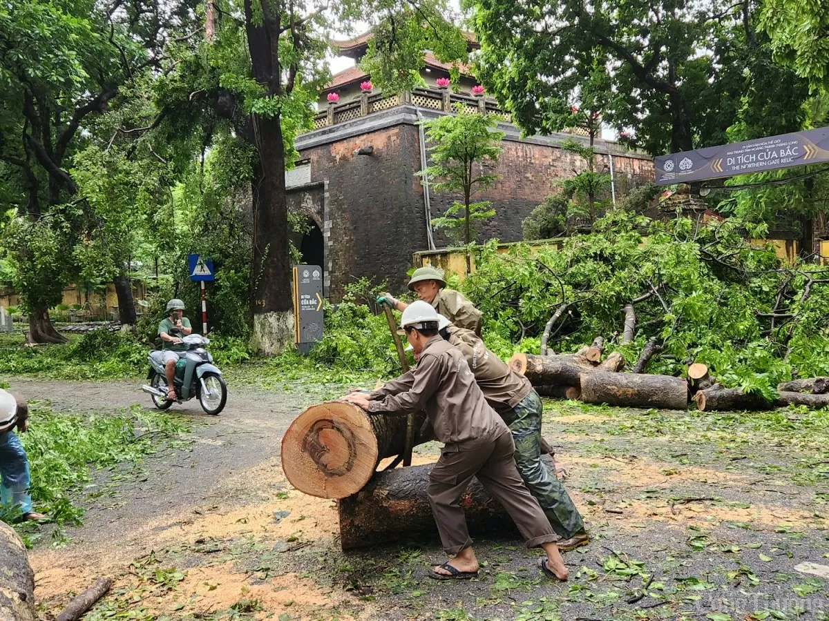Những con phố đẹp nhất Hà Nội tan hoang sau bão số 3 Những con phố đẹp nhất Hà Nội tan hoang sau bão số 3