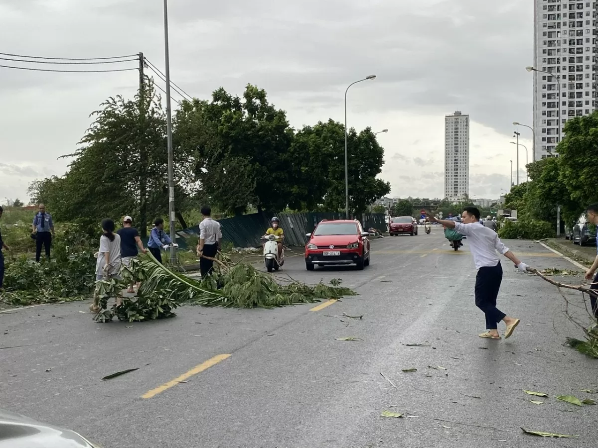 Khu vực Hà Đông nhanh chóng dọn dẹp cây gẫy đổ sau bão số 3, đón mưa lớn có thể xảy ra