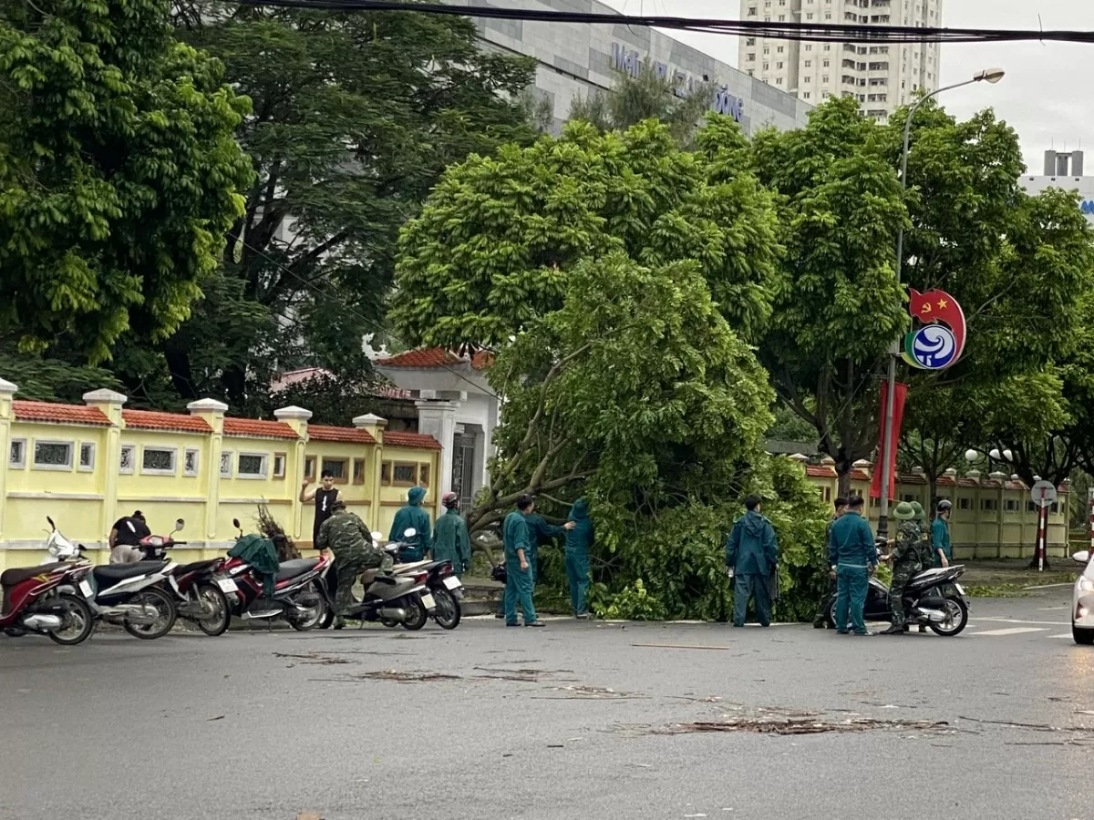 Khu vực Hà Đông nhanh chóng dọn dẹp cây gẫy đổ sau bão số 3, đón mưa lớn có thể xảy ra