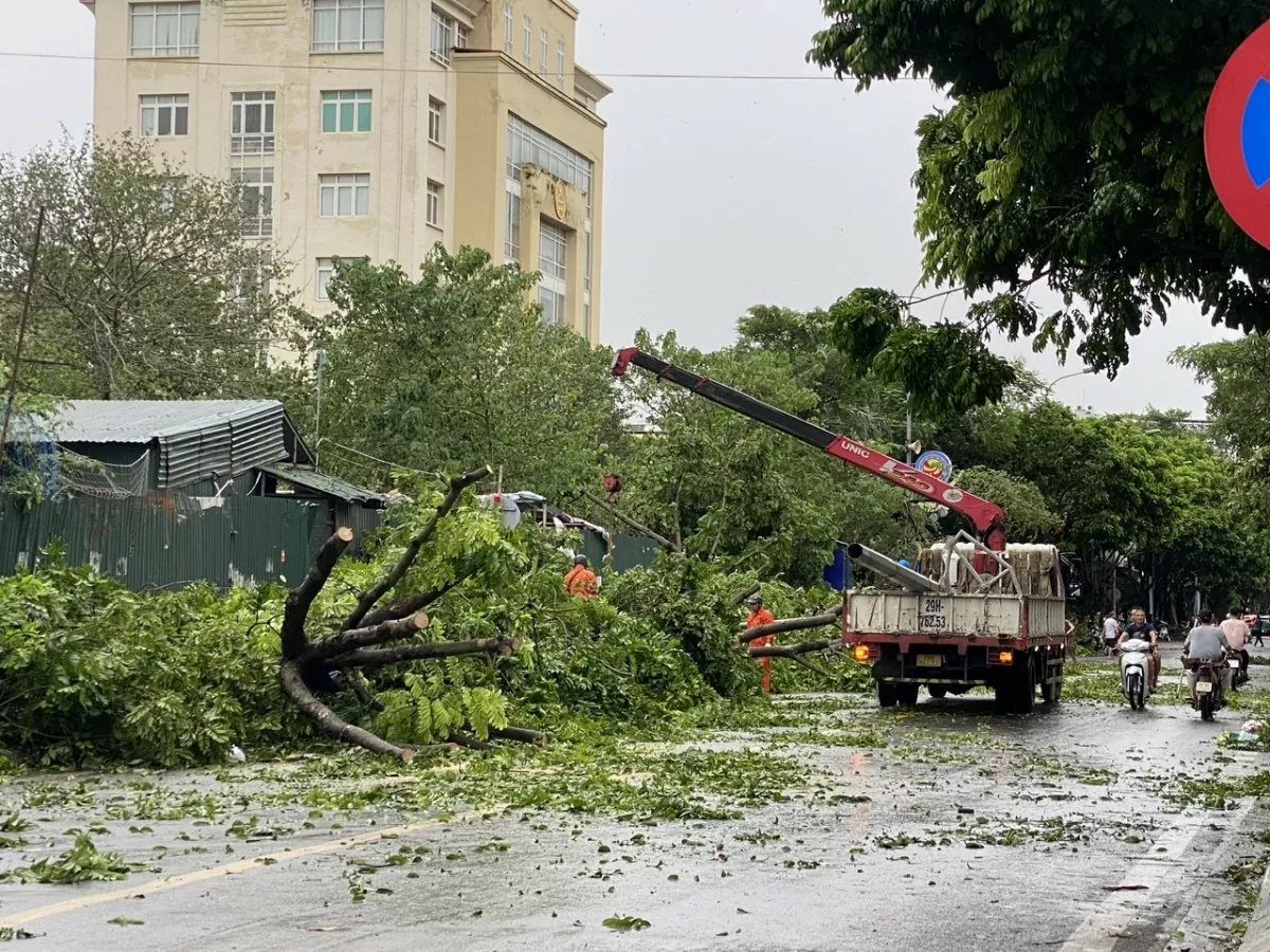 Khu vực Hà Đông nhanh chóng dọn dẹp cây gẫy đổ sau bão số 3, đón mưa lớn có thể xảy ra