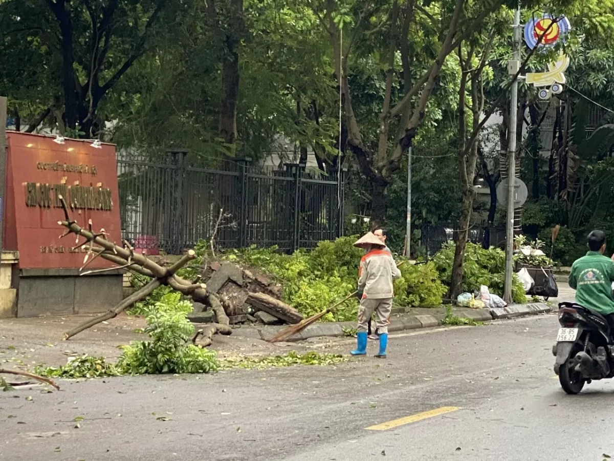 Khu vực Hà Đông nhanh chóng dọn dẹp cây gẫy đổ sau bão số 3, đón mưa lớn có thể xảy ra