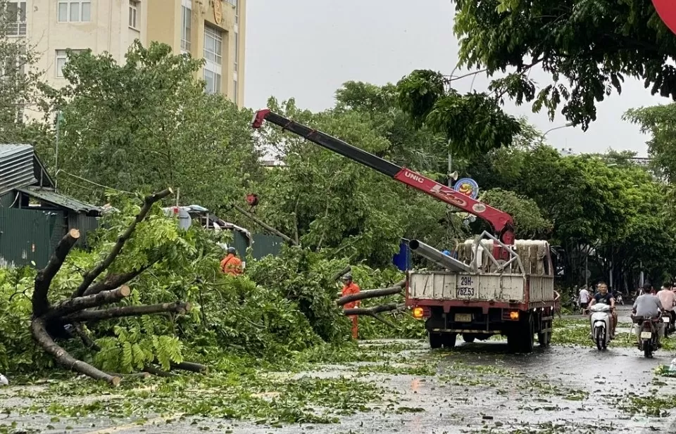 Khu vực Hà Đông nhanh chóng dọn dẹp cây gẫy đổ sau bão số 3, đón mưa lớn có thể xảy ra