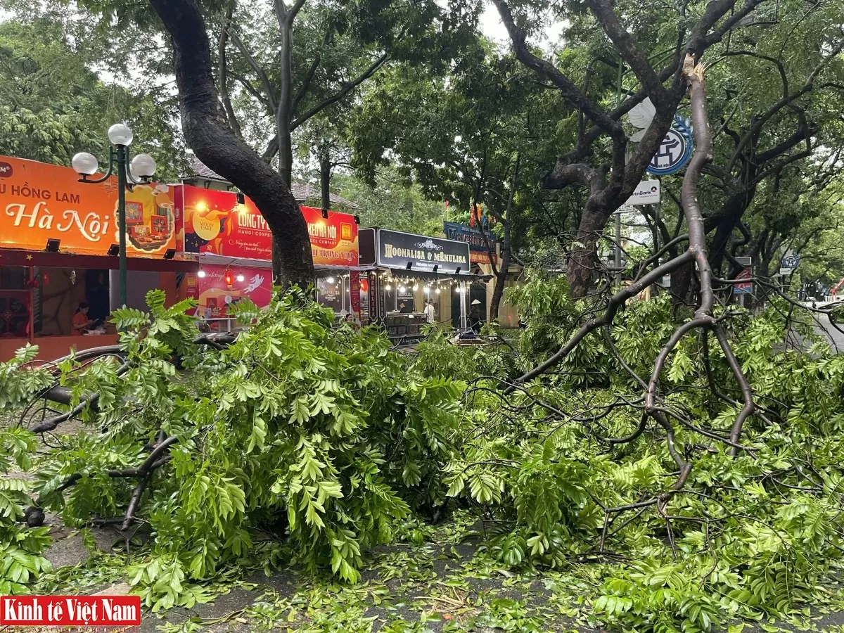 Hàng loạt quầy bánh trung thu bị quật đổ, trơ khung thép sau bão Yagi