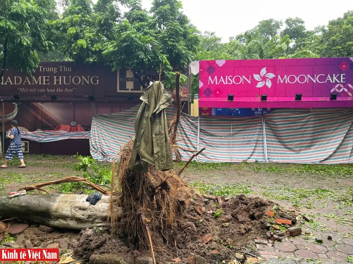 Hàng loạt quầy bánh trung thu ‘tan hoang’ sau bão Yagi